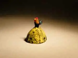 Coq de 1 cm sur son tas de fumier