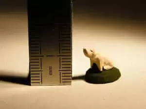 santon cochon de 1 cm