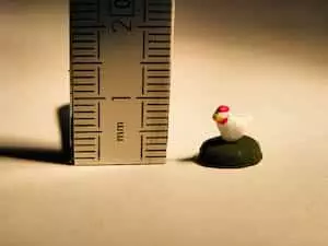 Poule de 1 cm